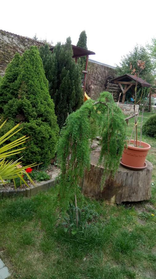 Penzion U Formana Stráž nad Nežárkou Dış mekan fotoğraf